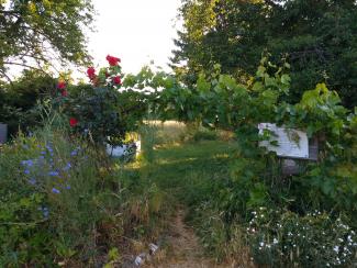 der Eingang zum Gemeinschaftsgarten Vilich-Müldorf mit Sträuchern und Bäumen