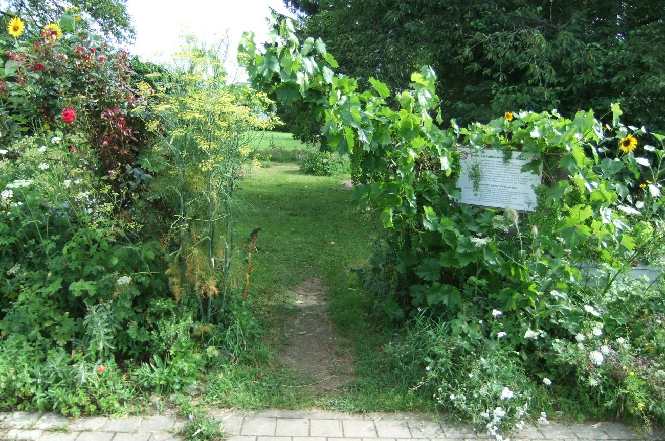 DSCF7729.JPG