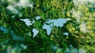 Profile picture for user Waldschutz-ist-Klimaschutz