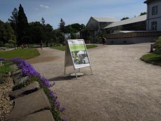 Tag der Artenvielfalt Botanischer Garten Bonn