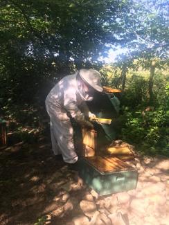 Imker bei der Arbeit