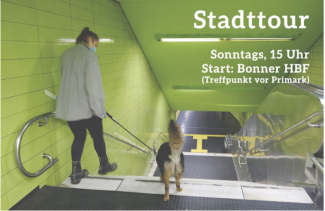 Flyer stadtstreifen