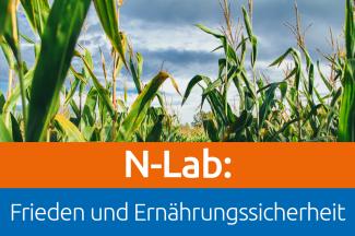 Flyer N-Lab