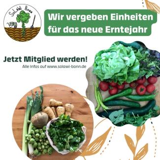 verschiedenes Gemüse