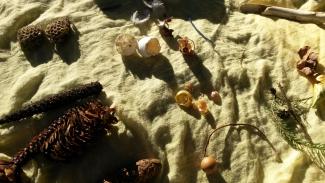 kleine Eierschalen und trockene Pflanzenteile liegen auf einem Tuch