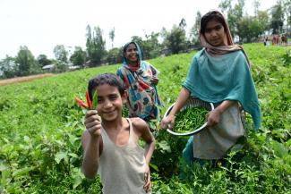 eine Frau und ein Mädchen bei der landwirtschaftlichen Arbeit in Indien