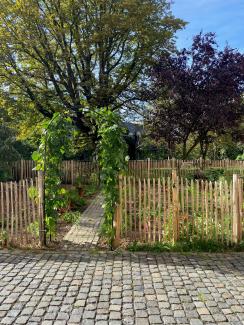 Zaun mit Eingangstor zum Garten der Bildung