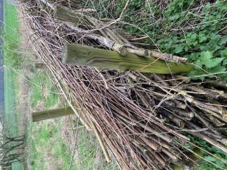 Hecke aus dünnen Ästen und Zweigen