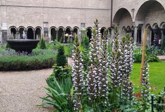 Kreuzgang des Bonner Münsters