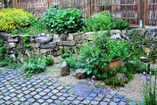 verschiedene Gartenpflanzen