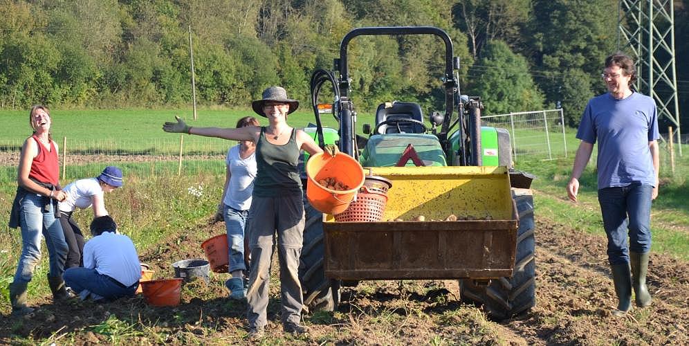 Kooperation statt Konkurrenz – so funktioniert die SoLaWi Bonn/Rhein-Sieg