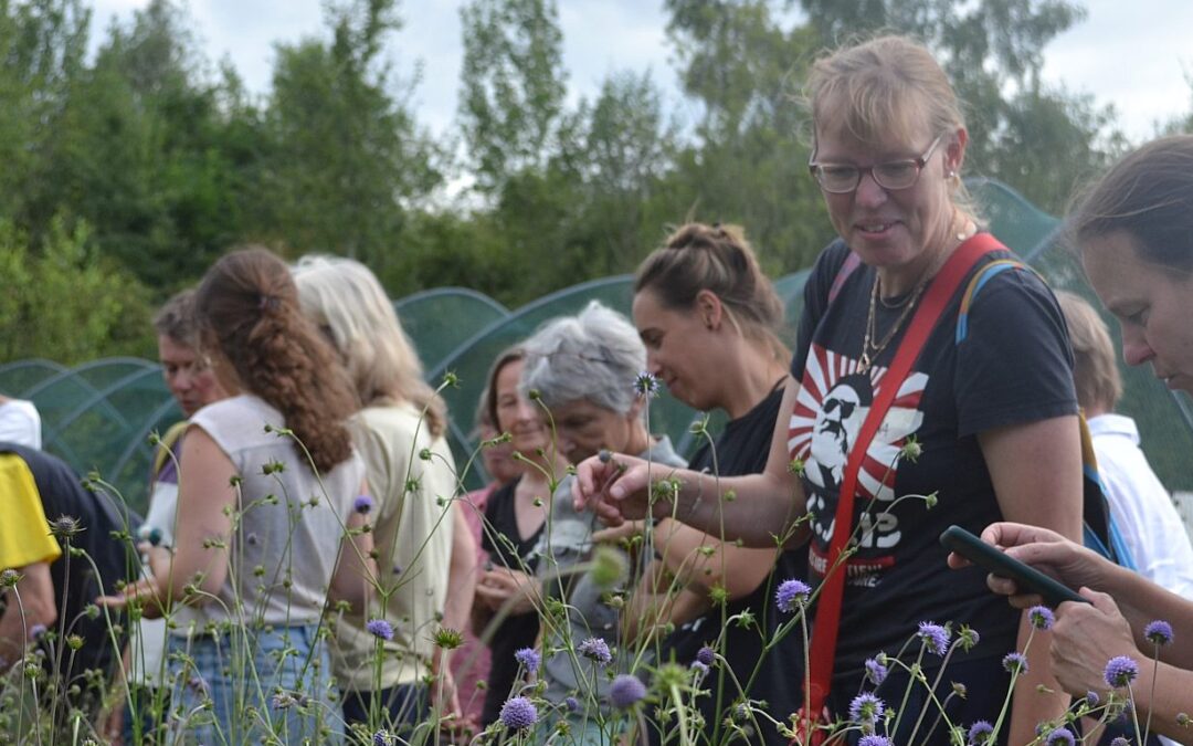 Das war das erste „Bonn blüht und summt“-Strategiespiel