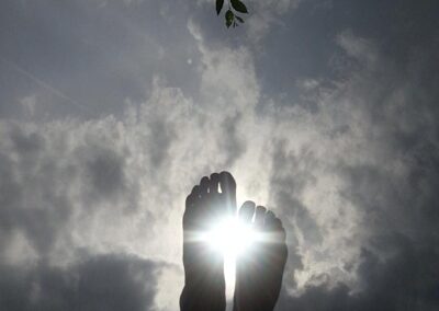 Beet-Brüder und -Schwestern