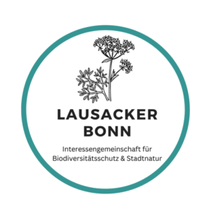 lausacker 4 300x300