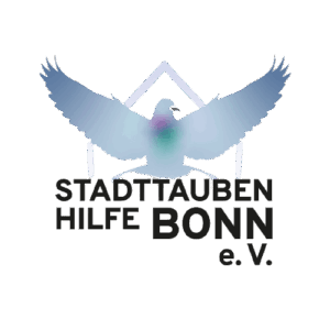 stadttaubenhilfe bonn 4 300x300