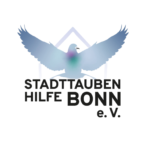 stadttaubenhilfe bonn 6
