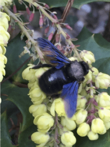 Bildschirmfoto 2026 04 03 um 17.17.32 225x300