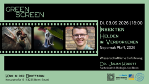 Header GreenScreen 300x169